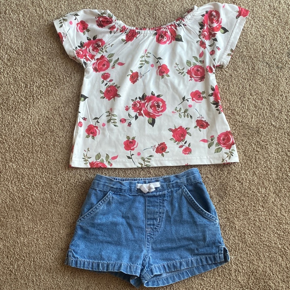 2 T girl floral outfit